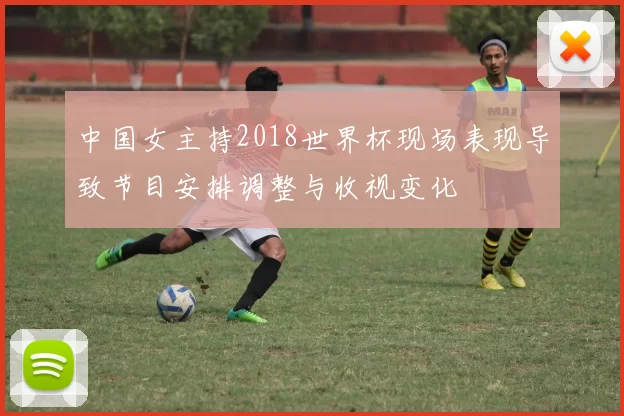 中国女主持2018世界杯现场表现导致节目安排调整与收视变化